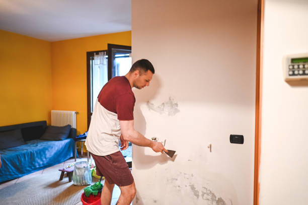 Best Affordable Mold Removal  in Fyffe, AL