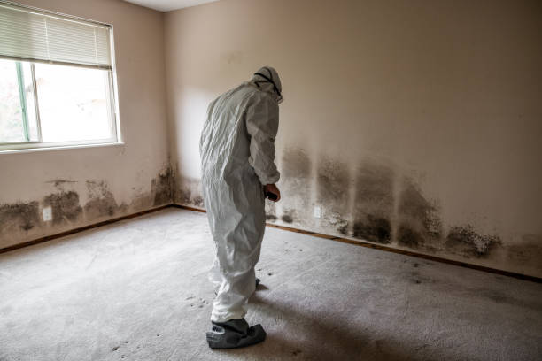 Best Residential Mold Removal  in Fyffe, AL